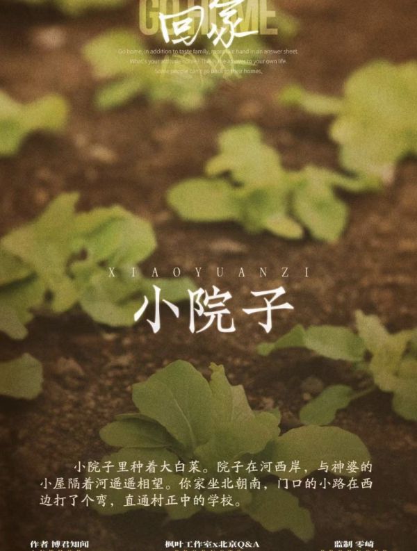 槽点剧本