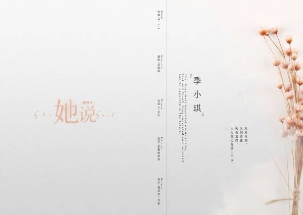 槽点剧本